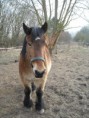 /album/katy/moments-de-detente-056-jpg/